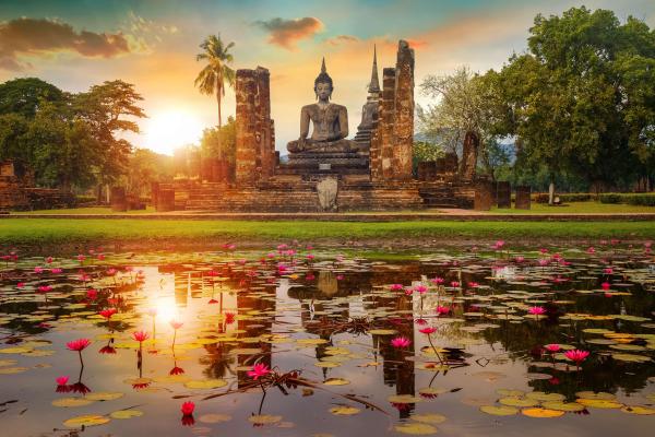 THAILANDE - PARFUMS D'ORCHIDEES