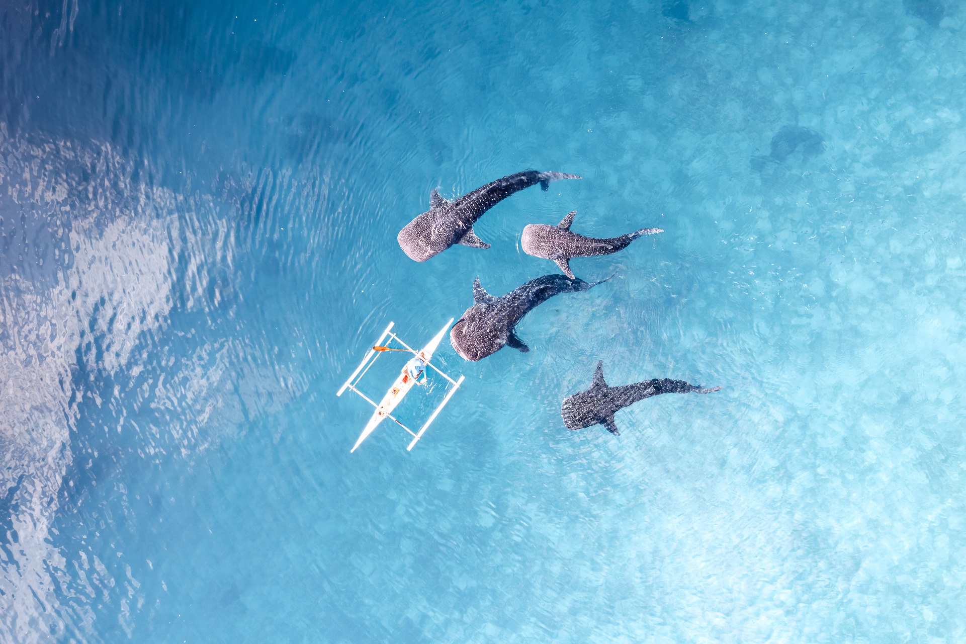 PHILIPPINES - Les îles entre ciel et mer