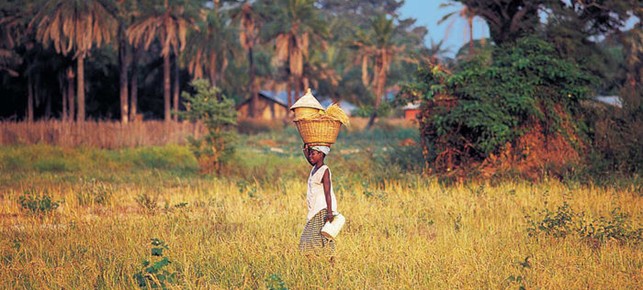 VOYAGE ECO-RESPONSABLE : SENEGAL