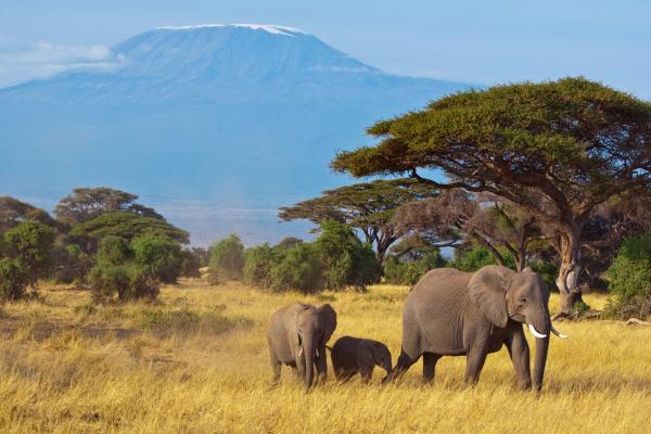 TANZANIE