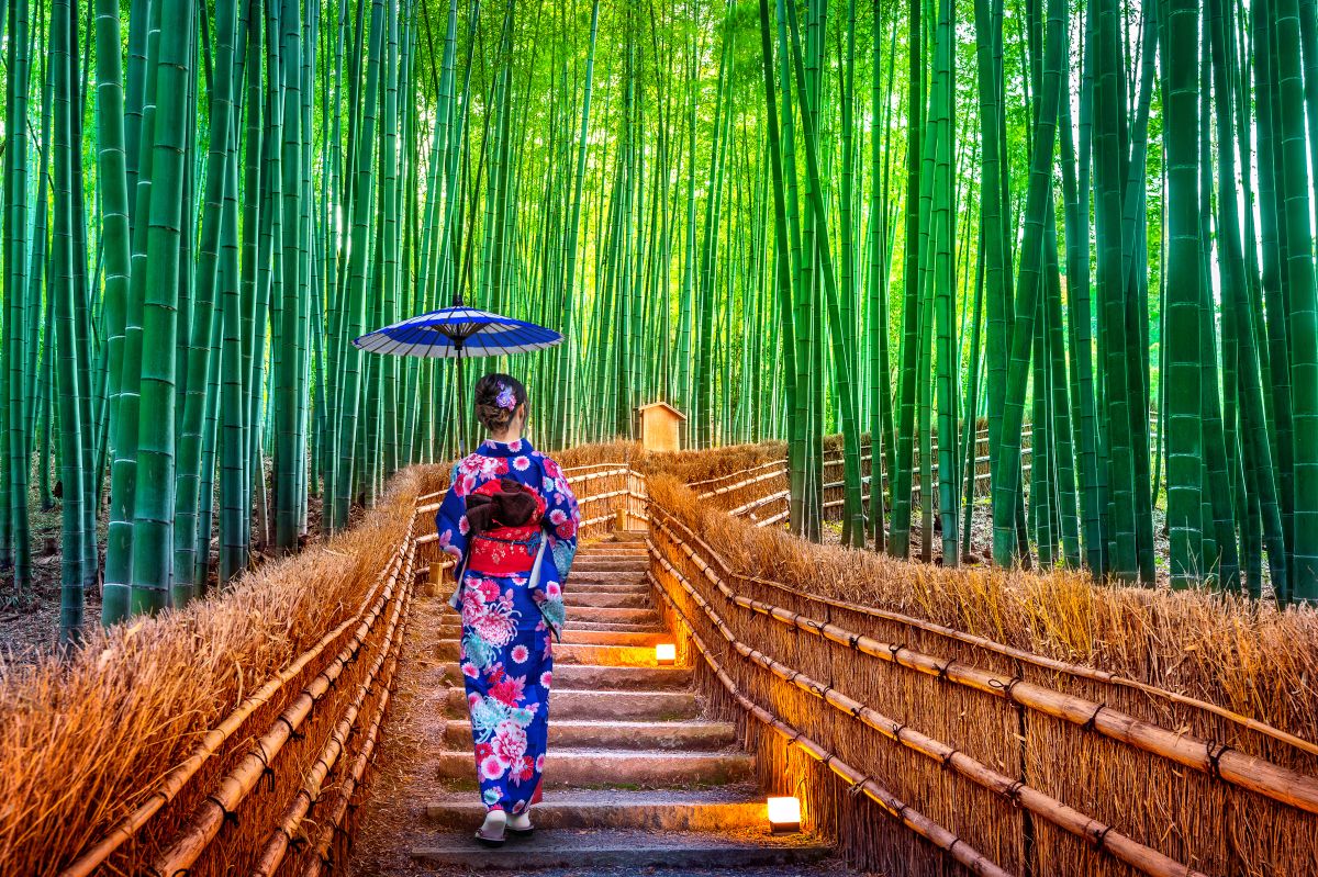JAPON  - Entre tradition et modernité 